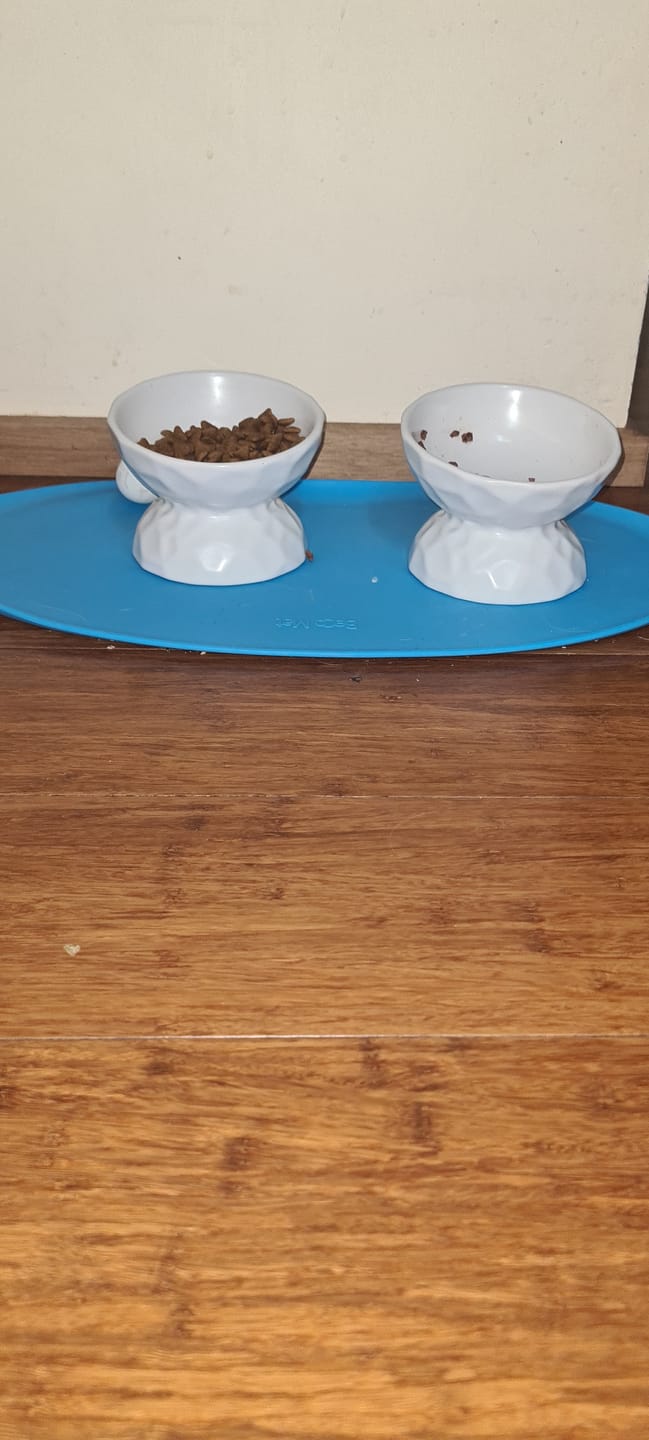 Customer photo review of Tilting Ceramic Cat Bowls With Uneven Texture