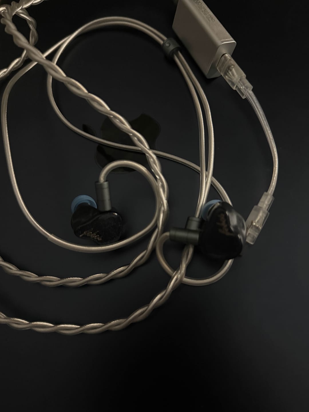 Customer photo review of Hisenior Audio Mega5-EST In-Ear Headphones