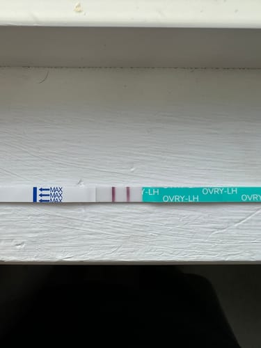 Customer photo review of Ovulation Test Strips
