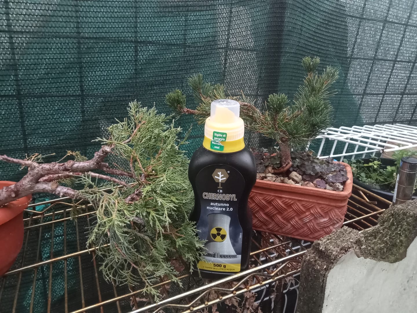 Customer photo review of CHERNOBYL CB® (Autunno Nucleare 2.0)