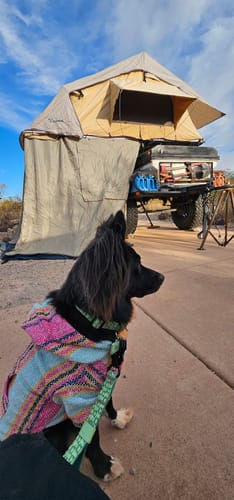 Customer photo review of Playa Poncho - Surprise Color