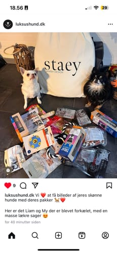 Customer photo review of Companion -  Calciumben Kylling