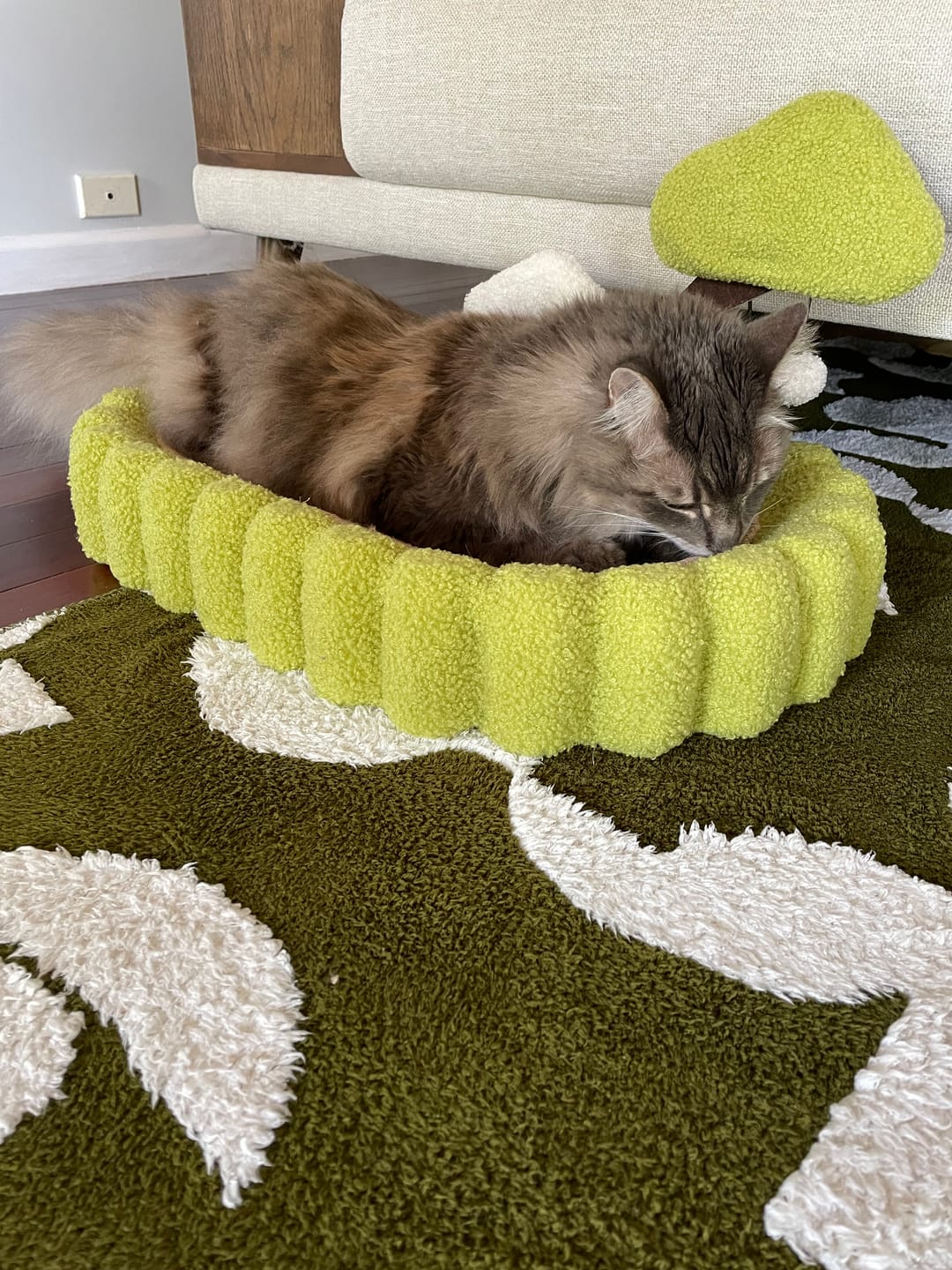 Customer photo review of Multifunctional Cat Scratcher Bed