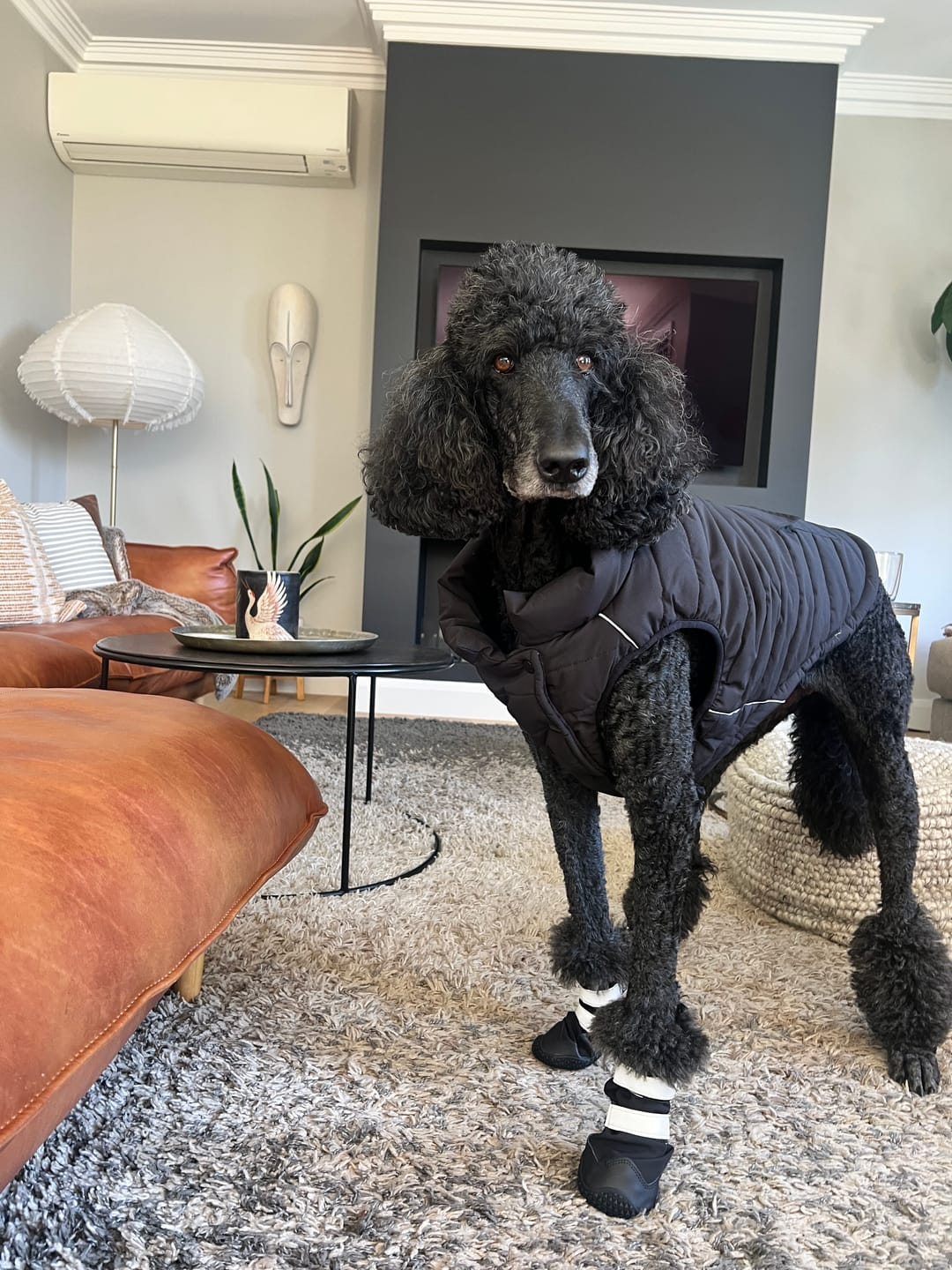 Customer photo review of WarmShield Water-Resistant Jacket - Black