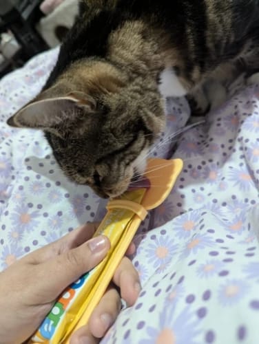 Customer photo review of EasyPet Katzenlöffel