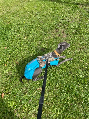 Customer photo review of Fleece Sighthound Base-Layer Coat with Underbelly and Snood