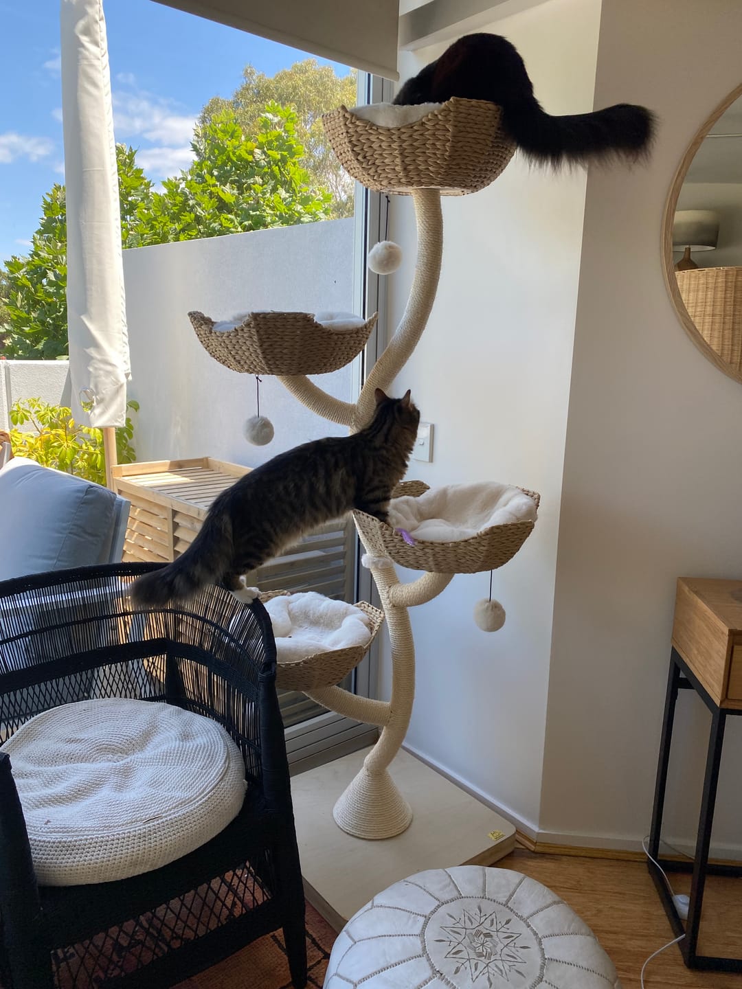 Customer photo review of MICHU Ivy Cat Tower Deluxe 4-Tier Designer Tall Cat Tree