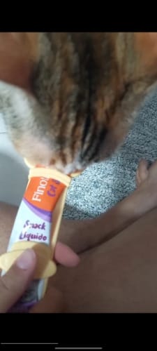 Customer photo review of EasyPet Katzenlöffel