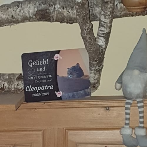 Customer photo review of Katzen Gedenktafel mit Foto & Spruch (UV- & Wetterfest)
