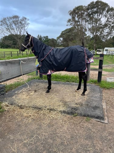 Kate S. review of Amigo Hero Ripstop Plus Lite 0g HW Print image 1 out of 1