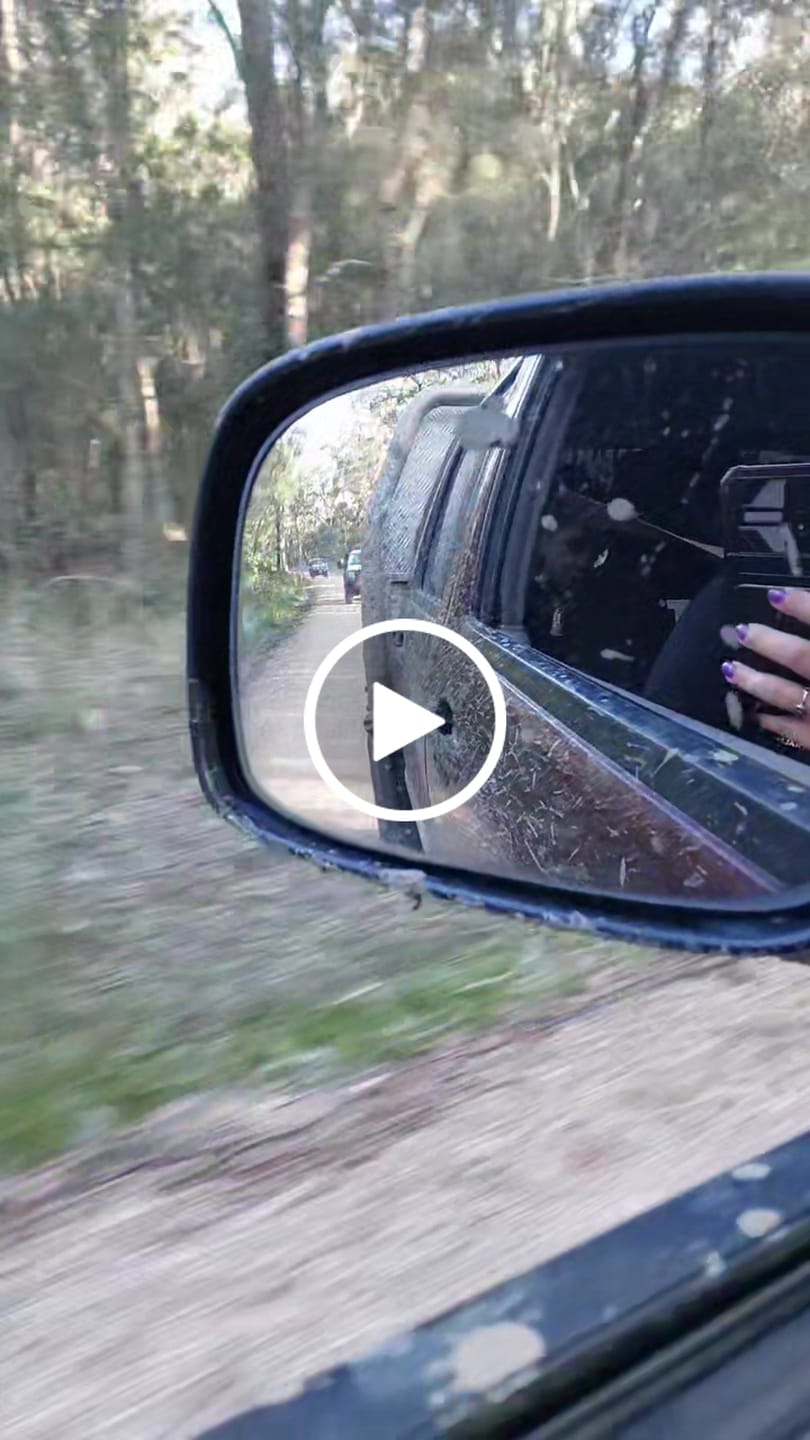 Customer video review of 3ft LED Whip Lights