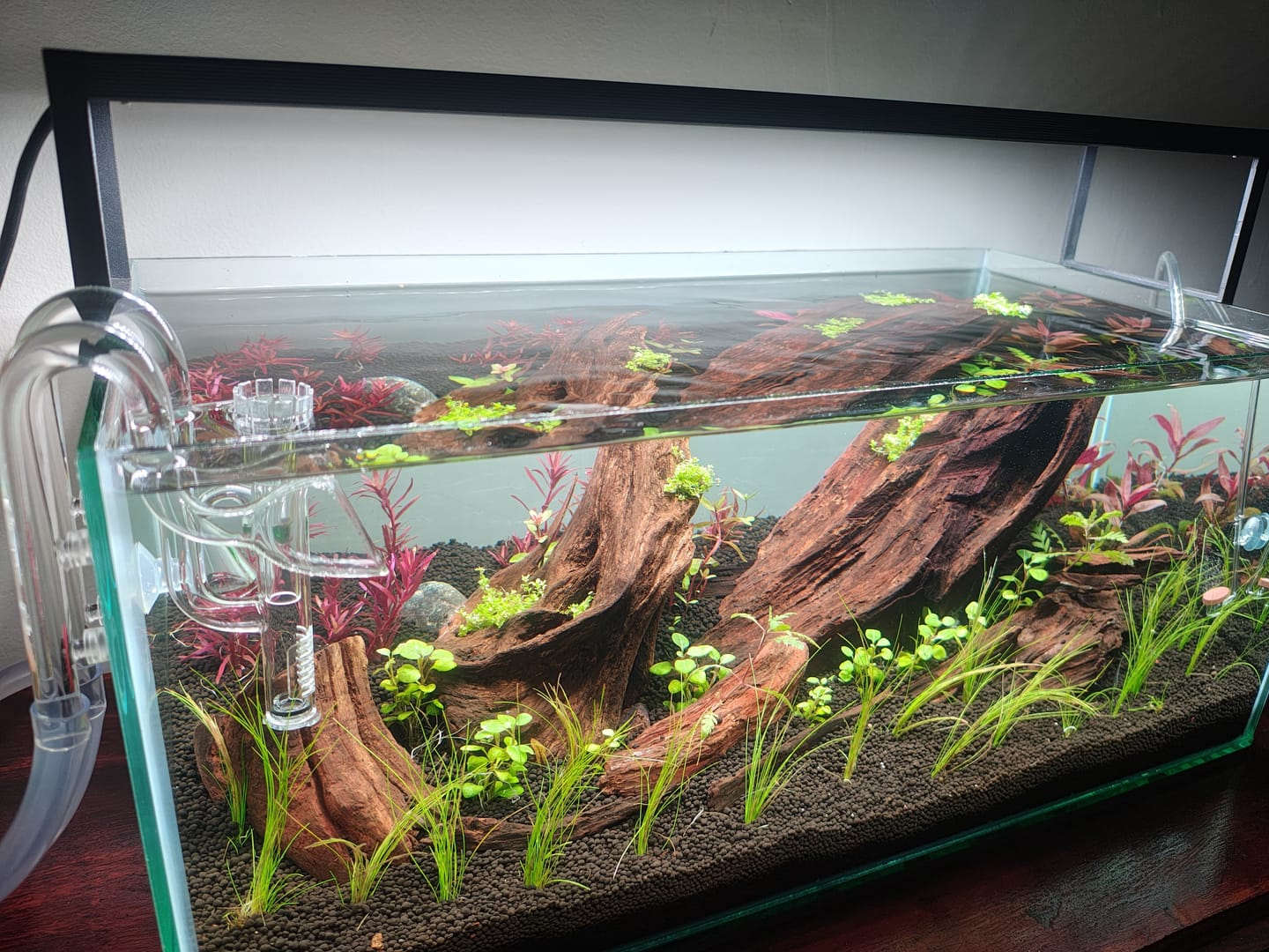 Customer photo review of Chihiros WRGB II Slim LED Light