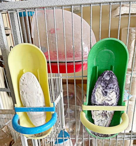 Customer photo review of 30005 Medium Cuttlebone Grape Flavor