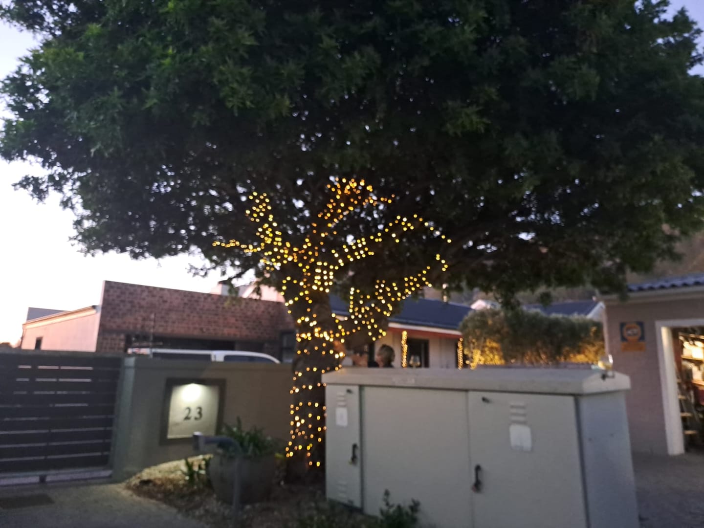 Customer photo review of Copper Wire Solar Fairy Lights