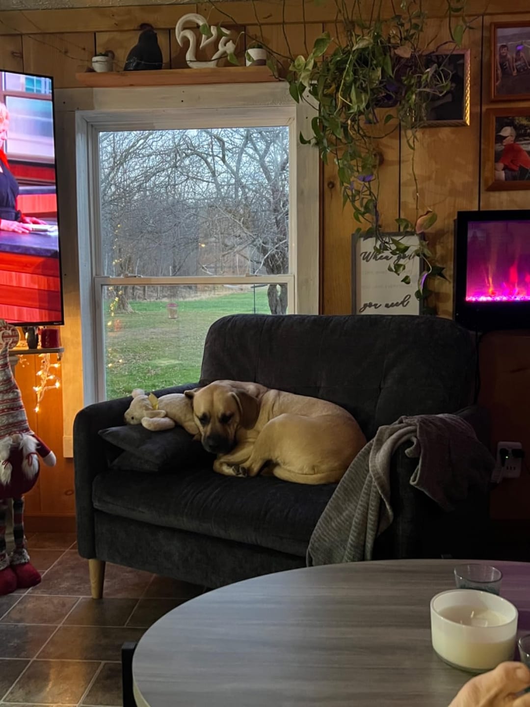 Customer photo review of 47” Small Loveseat Sofa (5 Colors)