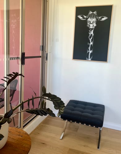 Customer photo review of Into the Wild | Giraffe