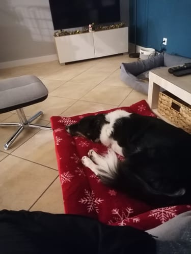Customer photo review of Snowflake Cuddle Soft & Red Fleece Luxury Reversible Pad