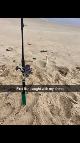 Customer photo review of Aeroo Pro Combo