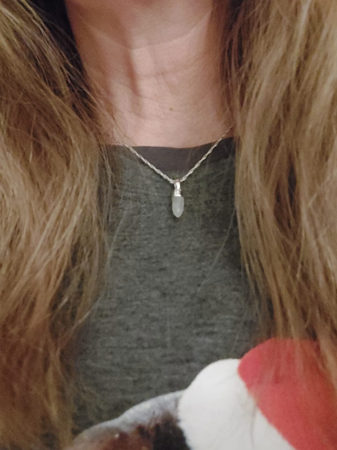 Customer photo review of Berlock Minispets Månsten Silver