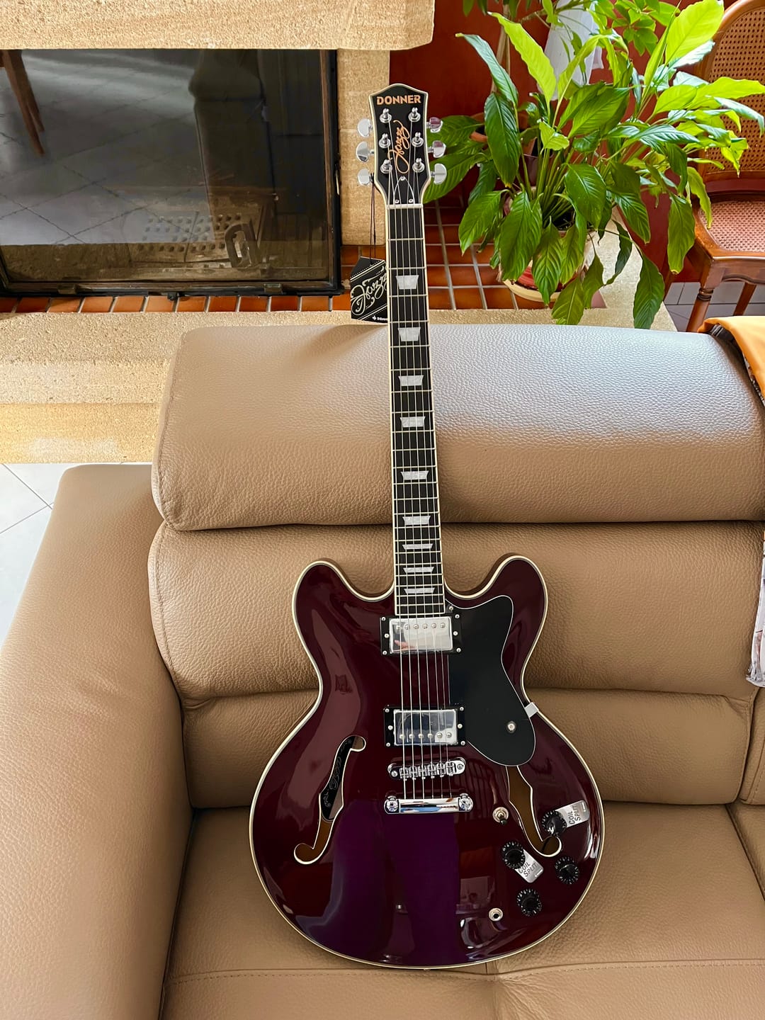 Customer photo review of Donner DJP-1000 Guitare Jazz Électrique