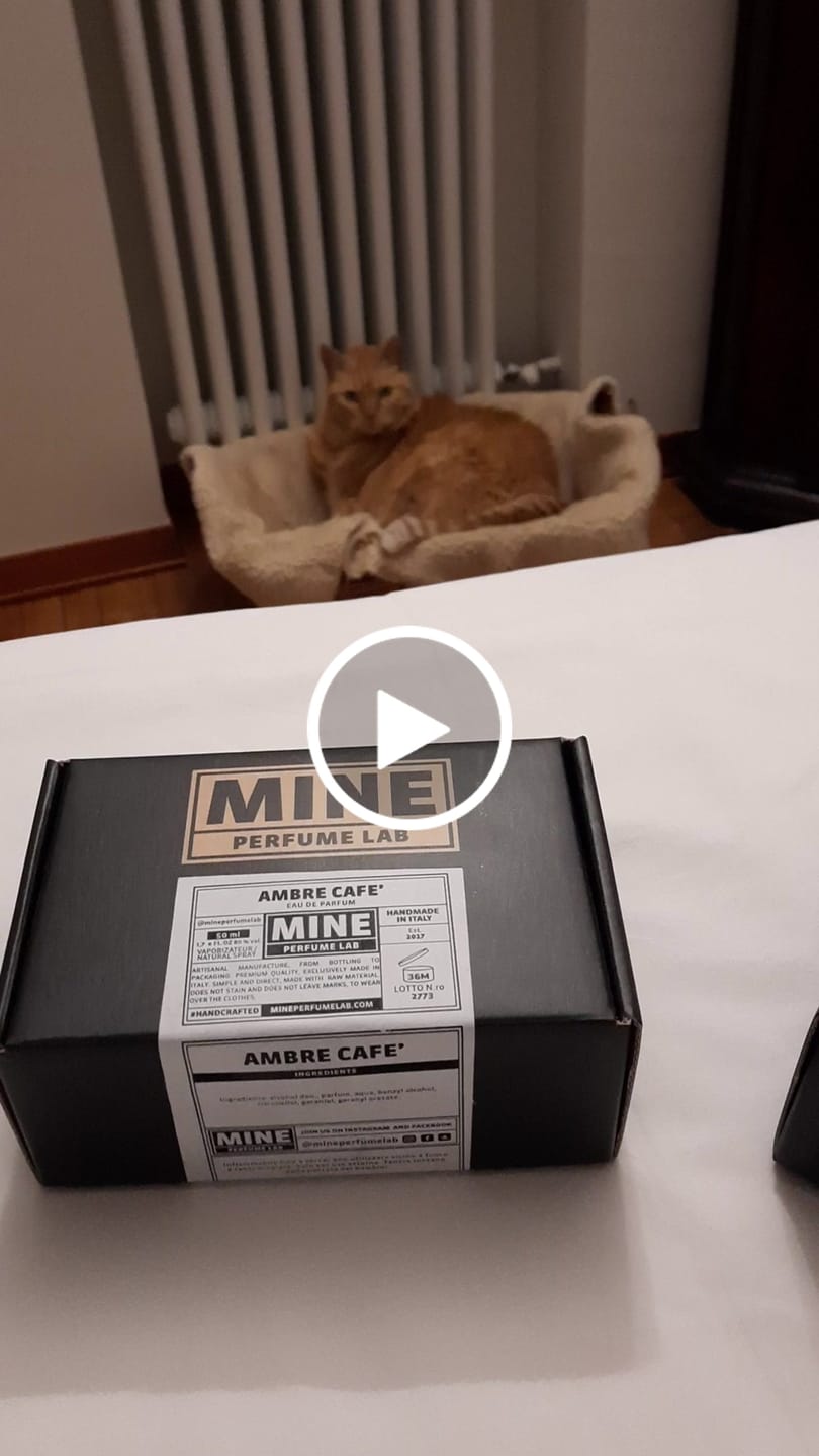 Customer video review of ALLERIA