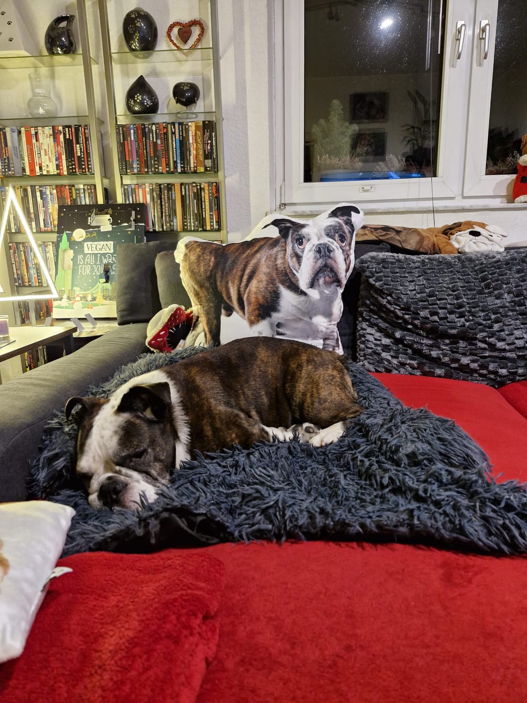 Customer photo review of Personalisiertes Hundekissen