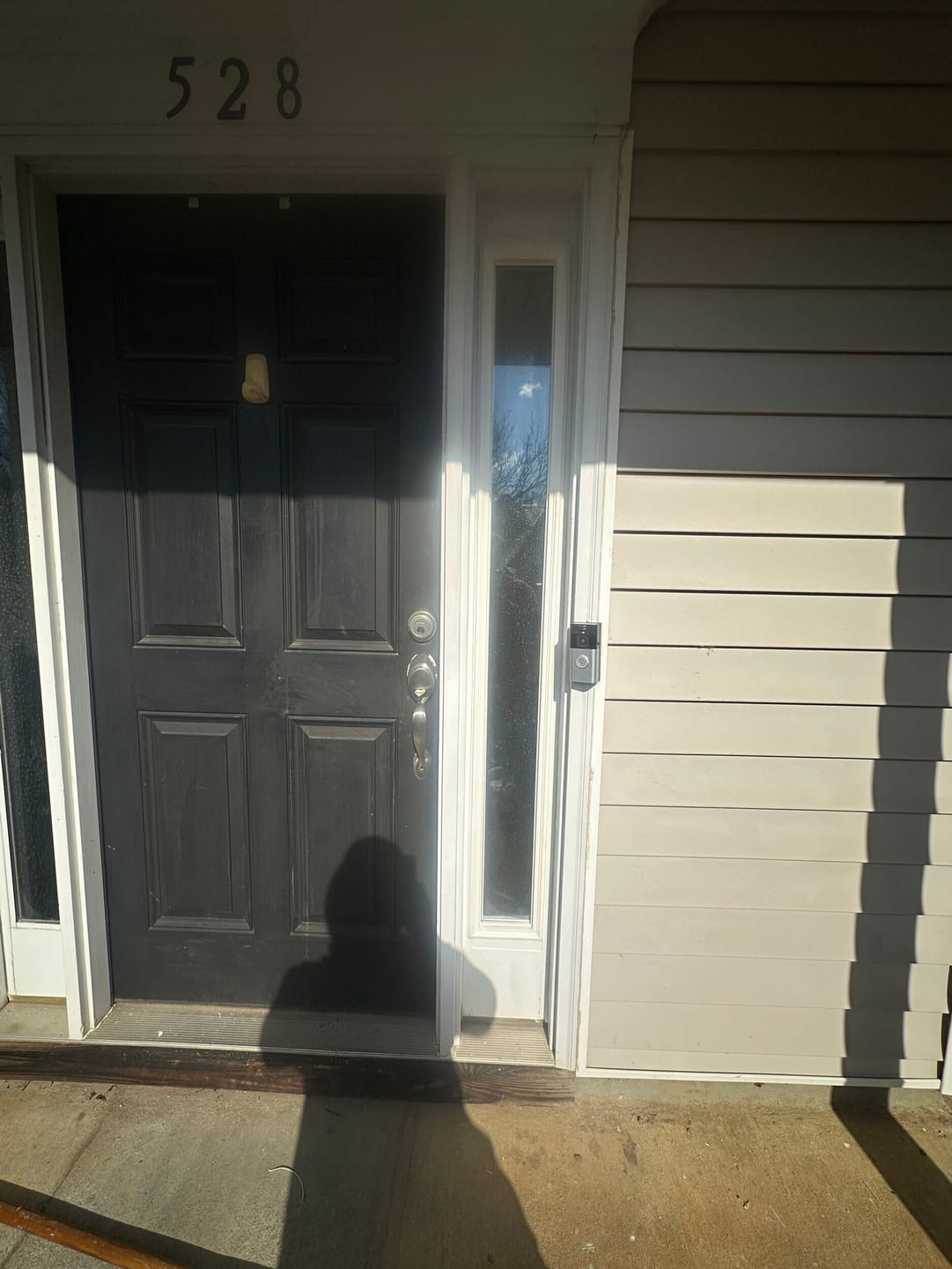 Customer photo review of Clear 1 Lite Glass and Frame Kit (Full Sidelite)