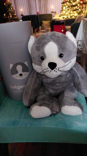 Customer photo review of Lotgenootje Kat 2kg