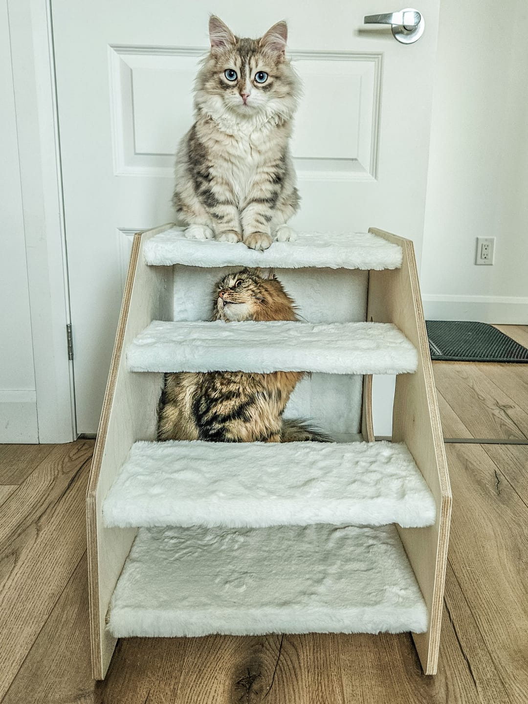 Customer photo review of The Stairs Hideout