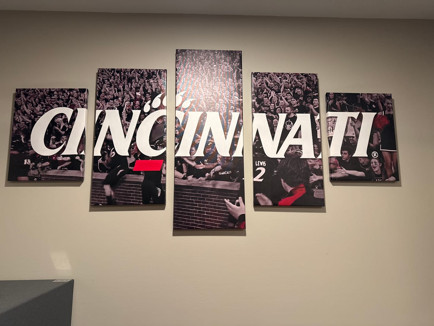 Customer photo review of Cincinnati Bearcats Wall Art Painting Canvas Poster Print Decor.