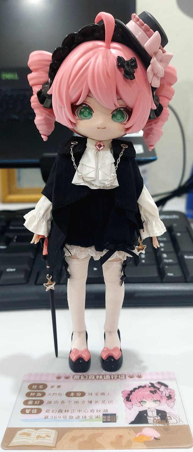 Customer photo review of Minty Flamingo Rose Limited Action Figure【Shipped in Sept./Oct. 2024】