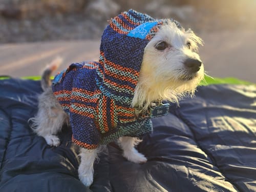 Customer photo review of Playa Poncho - Surprise Color