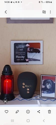 Customer photo review of Hunde Gedenktafel mit Foto & Spruch (UV- & Wetterfest)