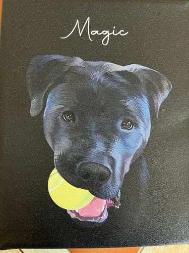 Customer photo review of Pet Art Canvas Wrap