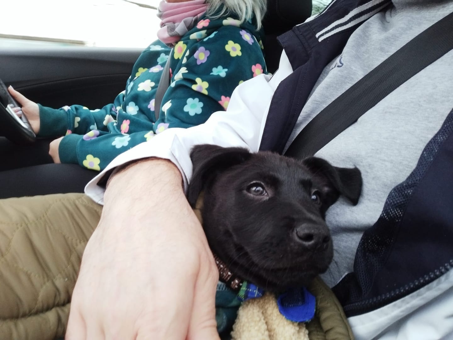 Customer photo review of Ranger Human Hoodie