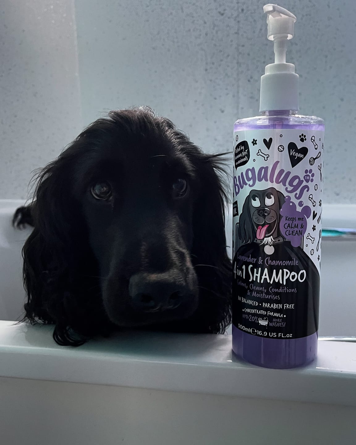 Customer photo review of Lavender & Chamomile 4 in 1 Calming Dog Shampoo