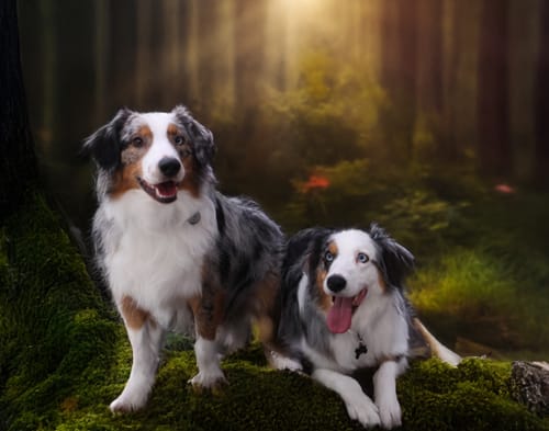 Customer photo review of 8x10 Giclee Fine Art Prints