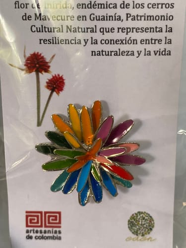 Customer photo review of Pin de la COP 16