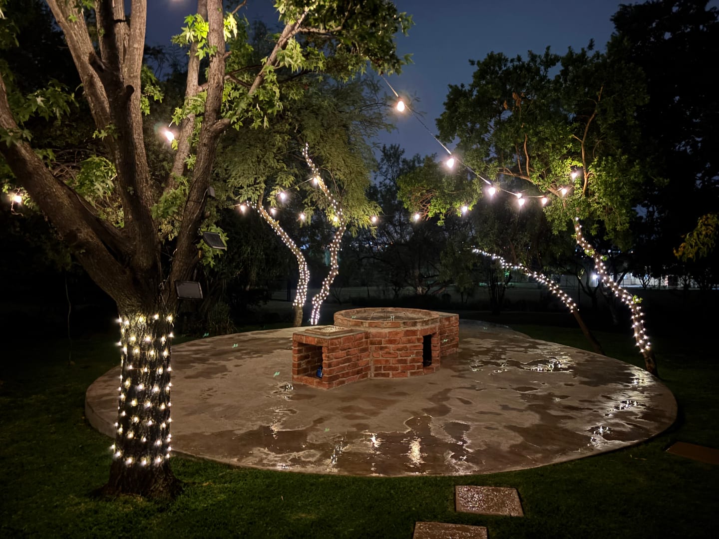 Customer photo review of Copper Wire Solar Fairy Lights