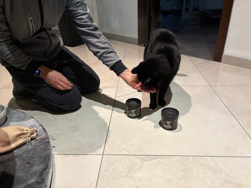 Customer photo review of Gelenk Gummies