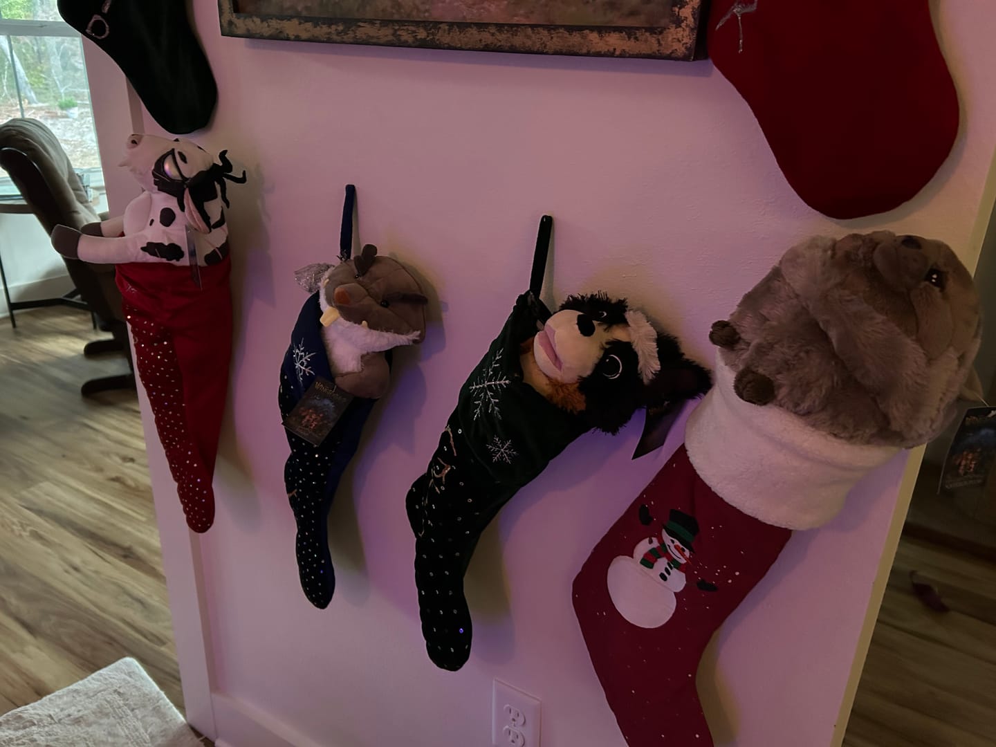 Customer photo review of The Wingfeather Saga Plushie Bundle