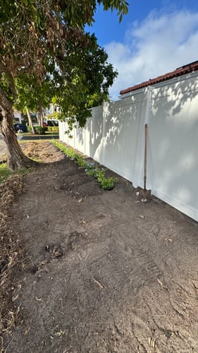 Customer photo review of Blue Plumbago