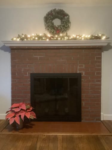 Customer photo review of Piccolo - Masonry Fireplace Glass Doors