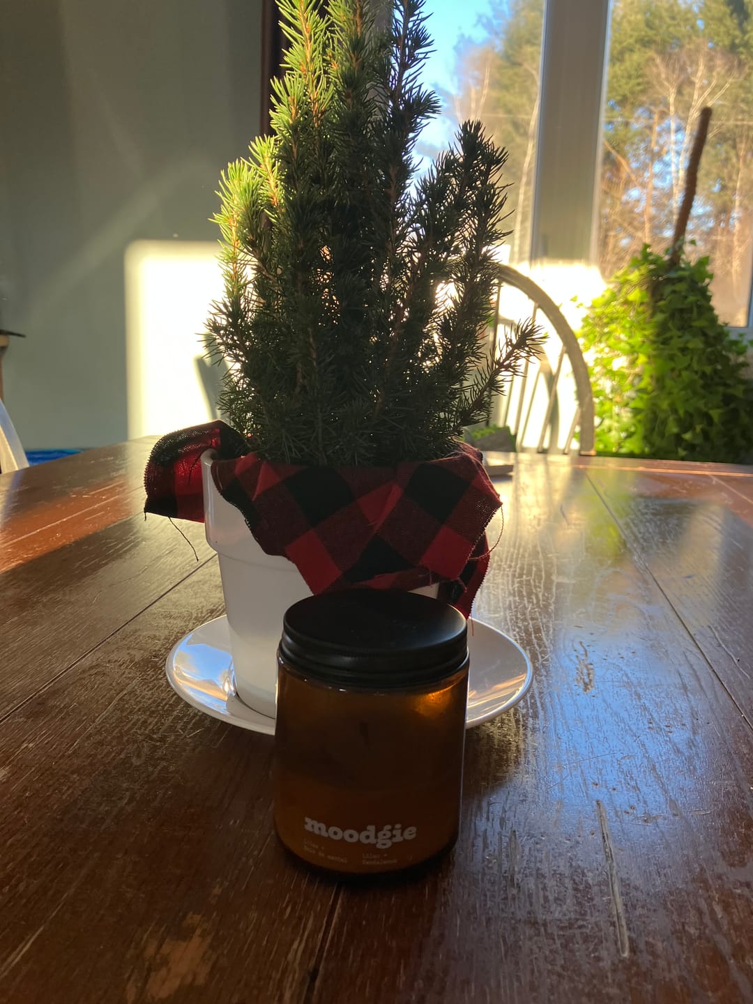 Customer photo review of Lilas + Bois de santal