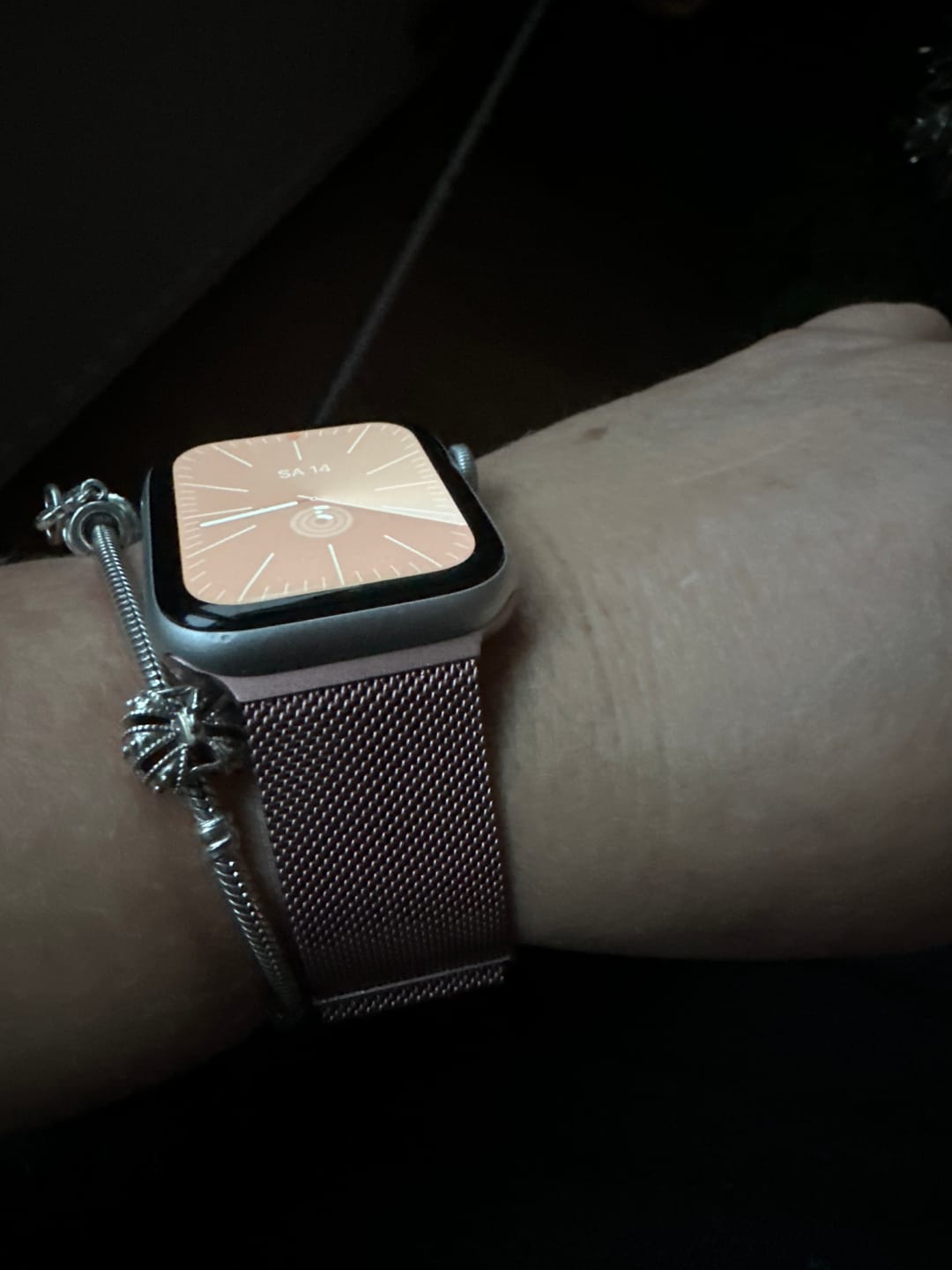 Customer photo review of BandLiebe - Milanese Armband