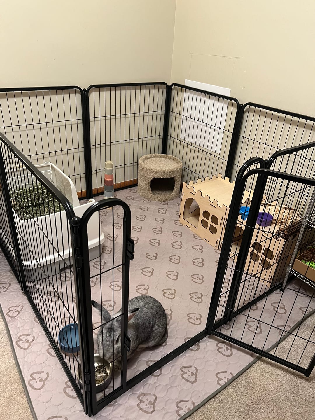 Customer photo review of Washable Pee Pads for Housebreaking Your Dog