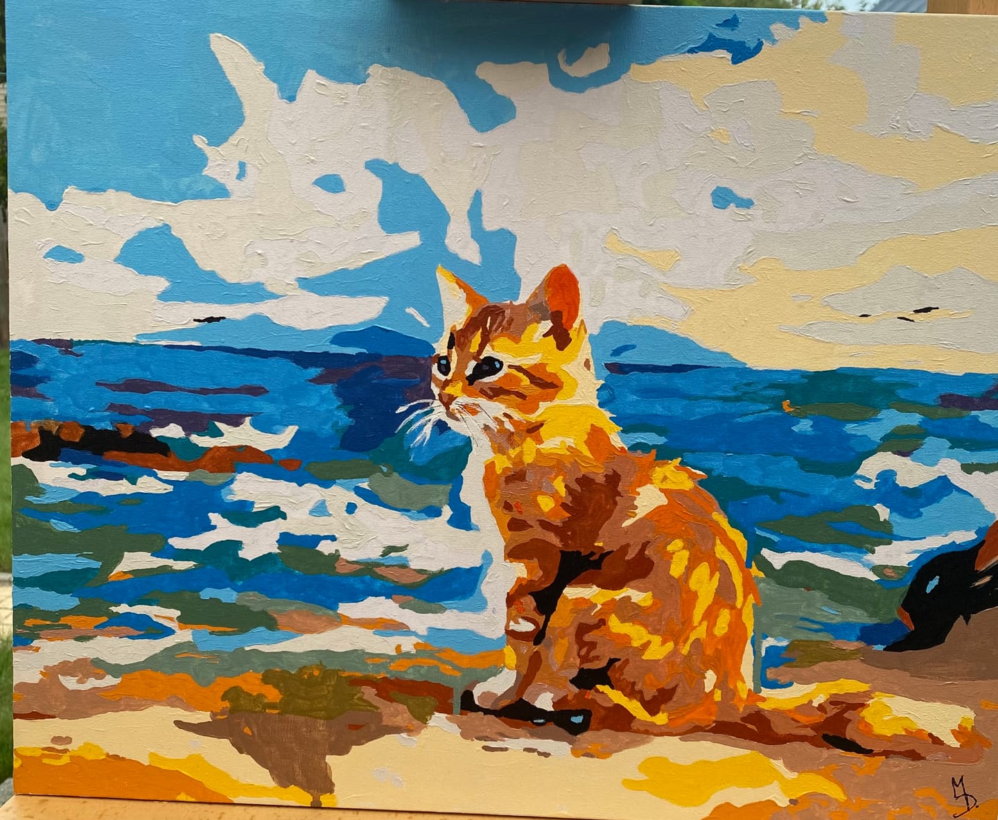 Customer photo review of Beach Kitten