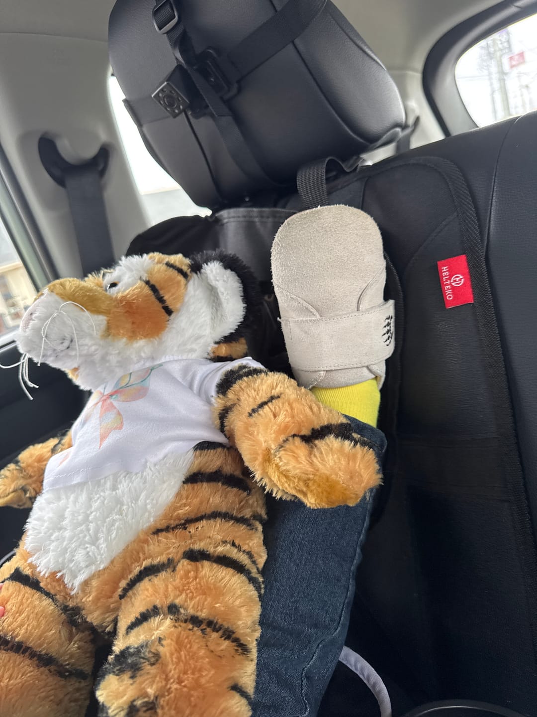 Customer photo review of Cub S-V / Cloud