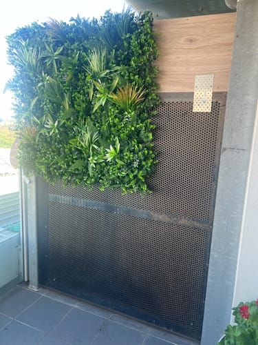 Customer photo review of Wild Tropics Artificial Vertical Garden / Fake Green Wall 1m x 1m UV Resistant