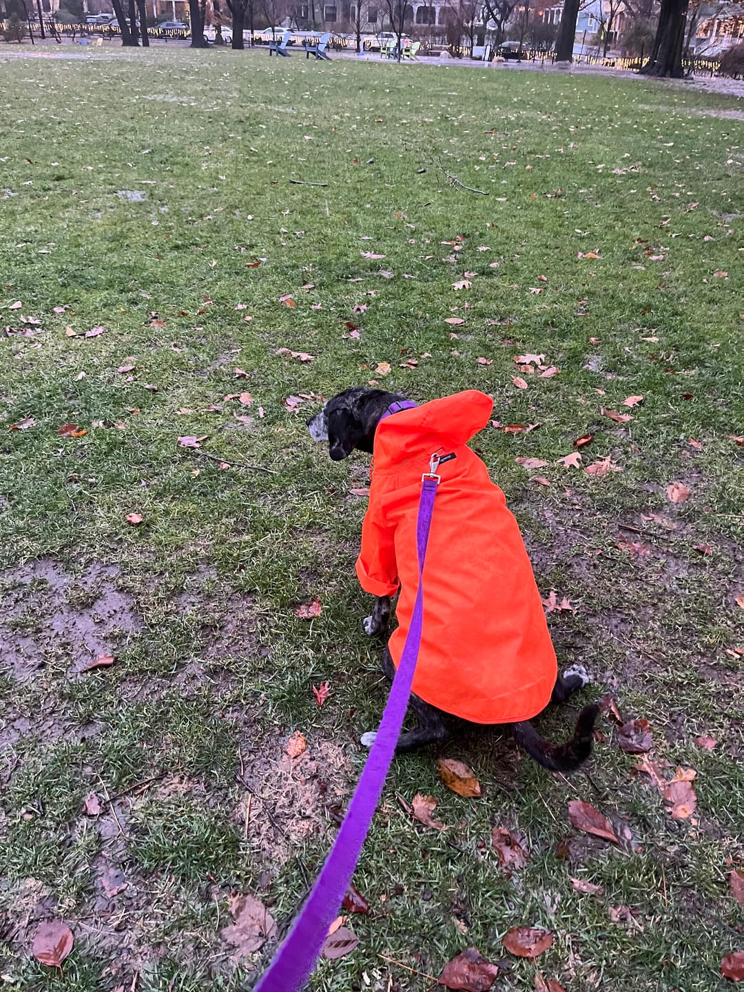 Customer photo review of Nylon Rainbreaker